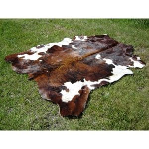 Koeienhuid Normandiër