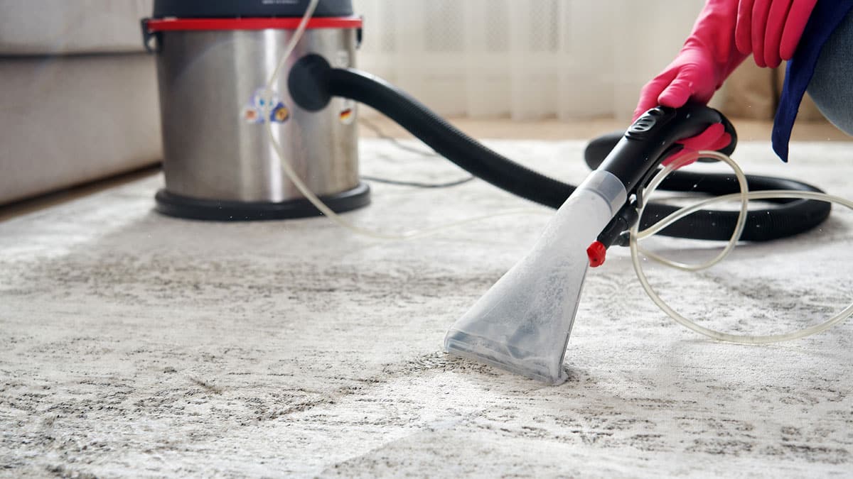 Professionele tapijtreiniging met een sproei-extractiemachine